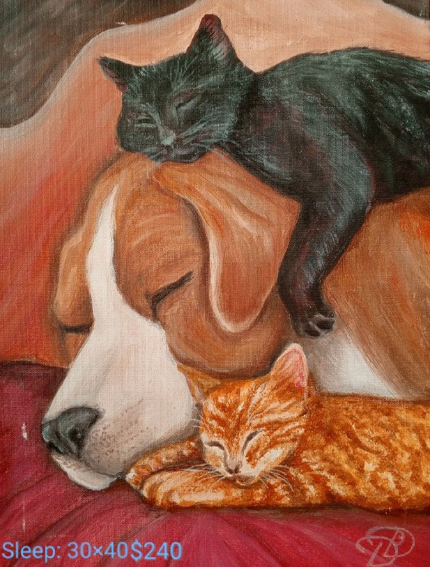 Collection “Animal World”