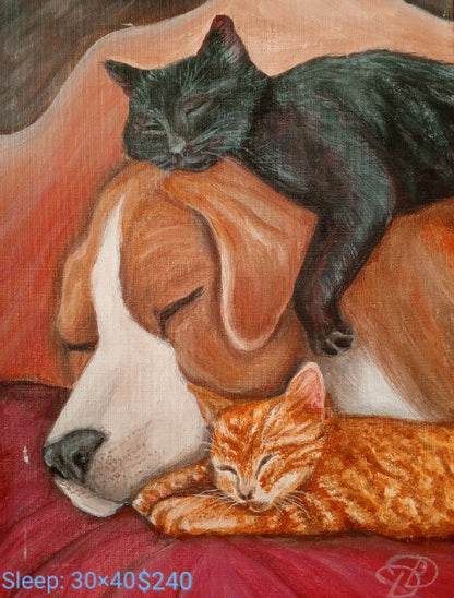 Collection “Animal World”