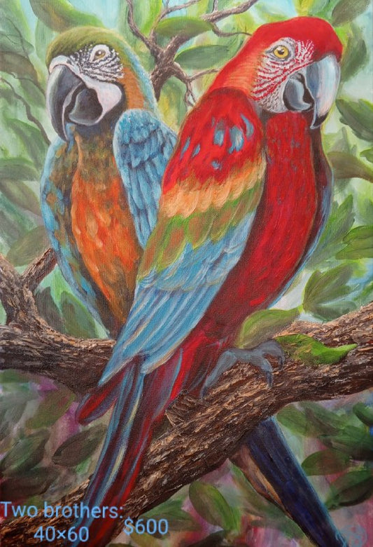 Collection “Animal World”