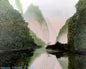 Collection Of Vietnam: 1/2
