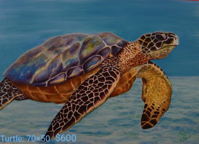 Collection of paintings The Sea