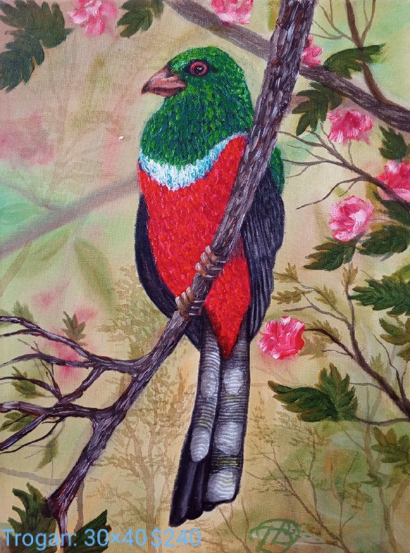 Collection “Animal World”