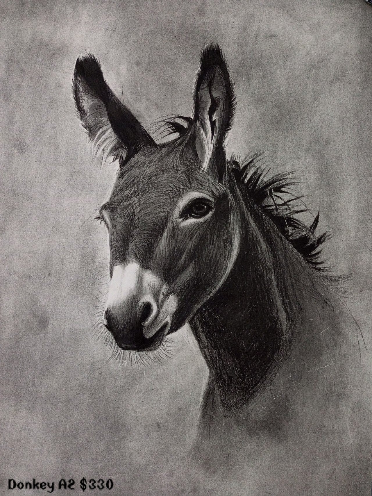 Collection of paintings of animals