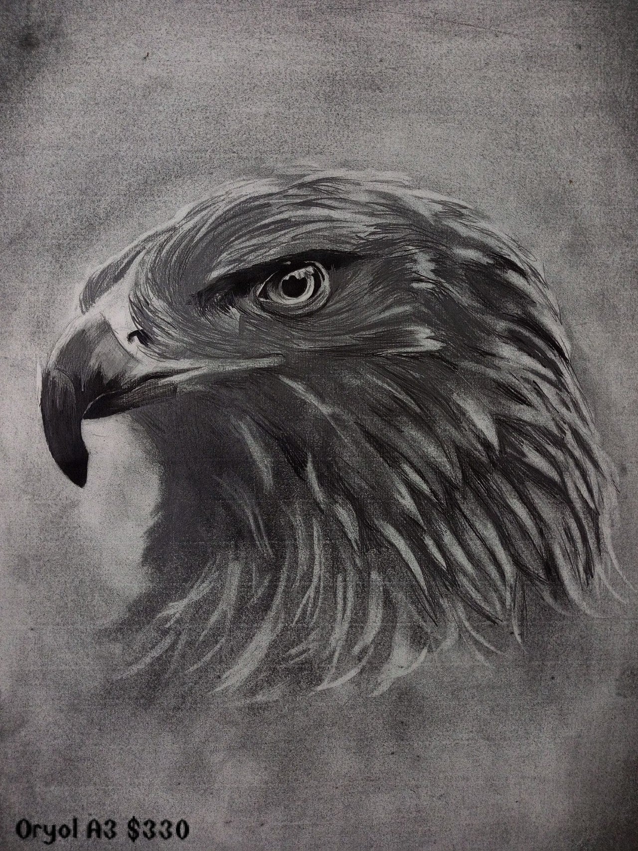 Collection of paintings of animals