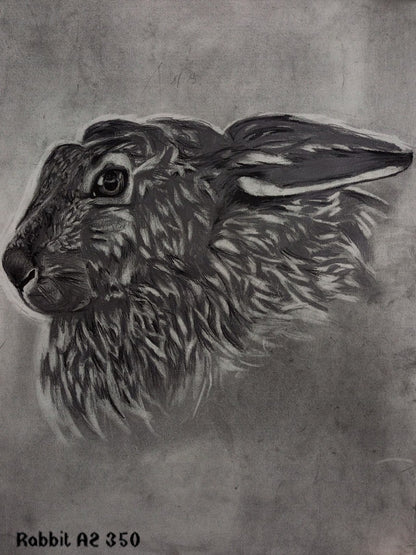 Collection of paintings of animals