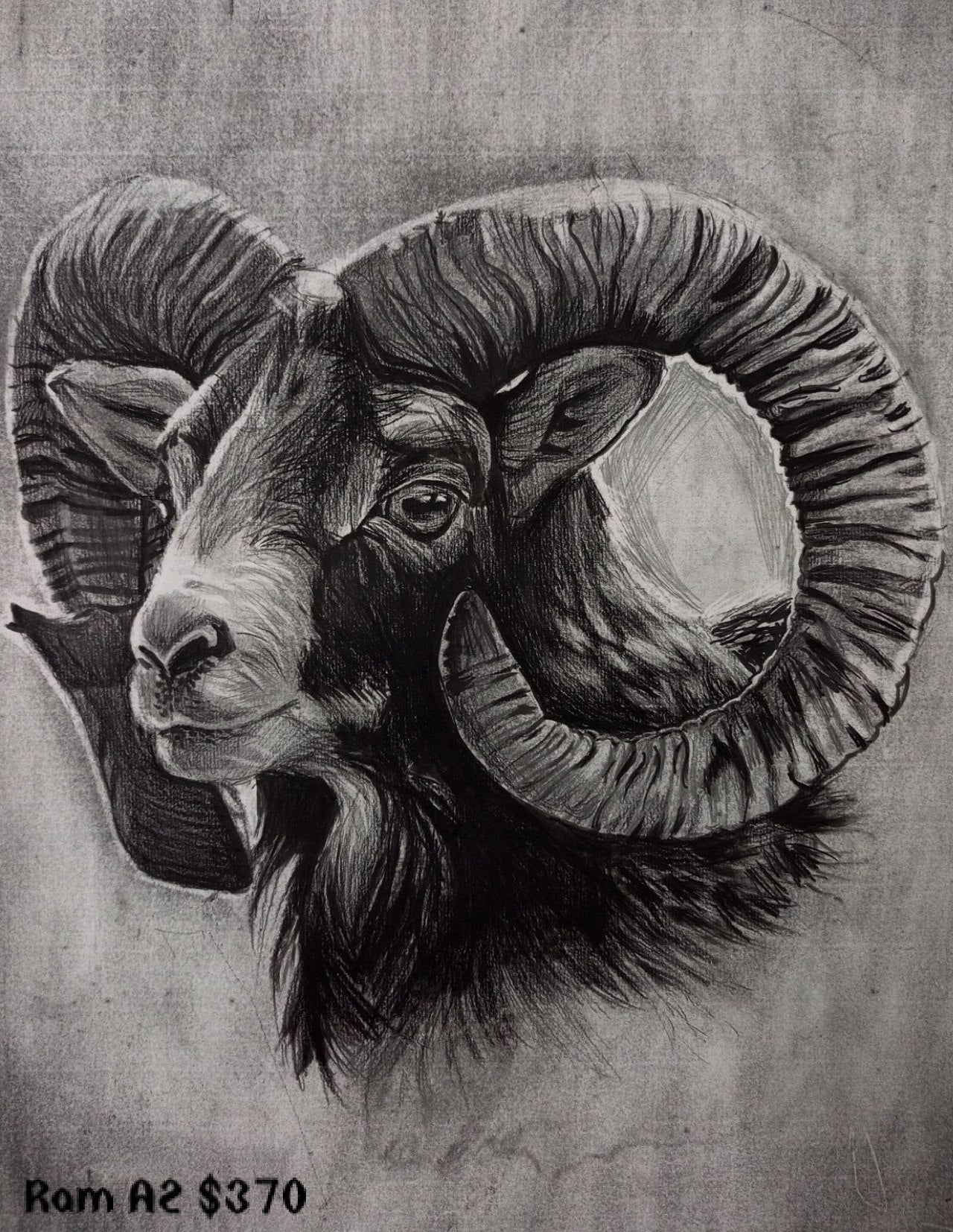Collection of paintings of animals