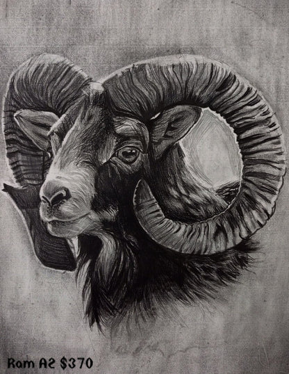 Collection of paintings of animals