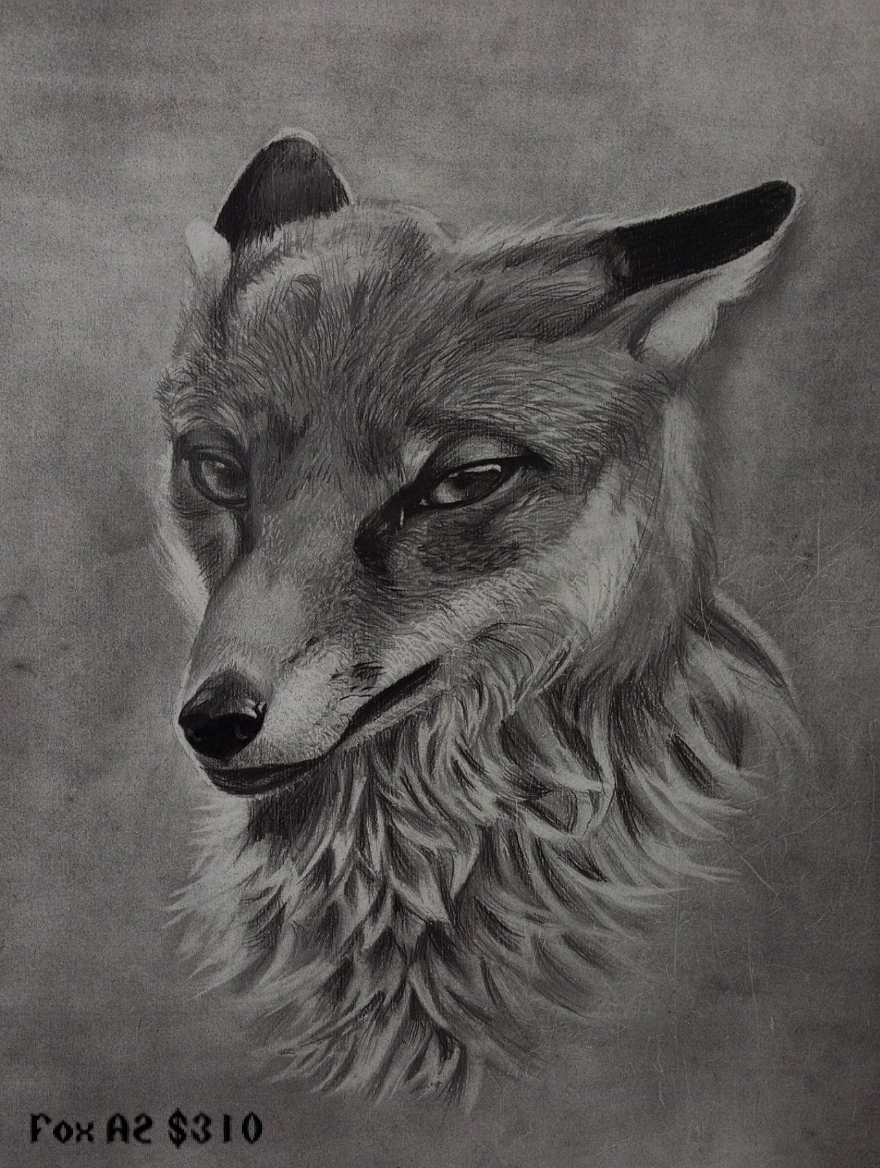 Collection of paintings of animals