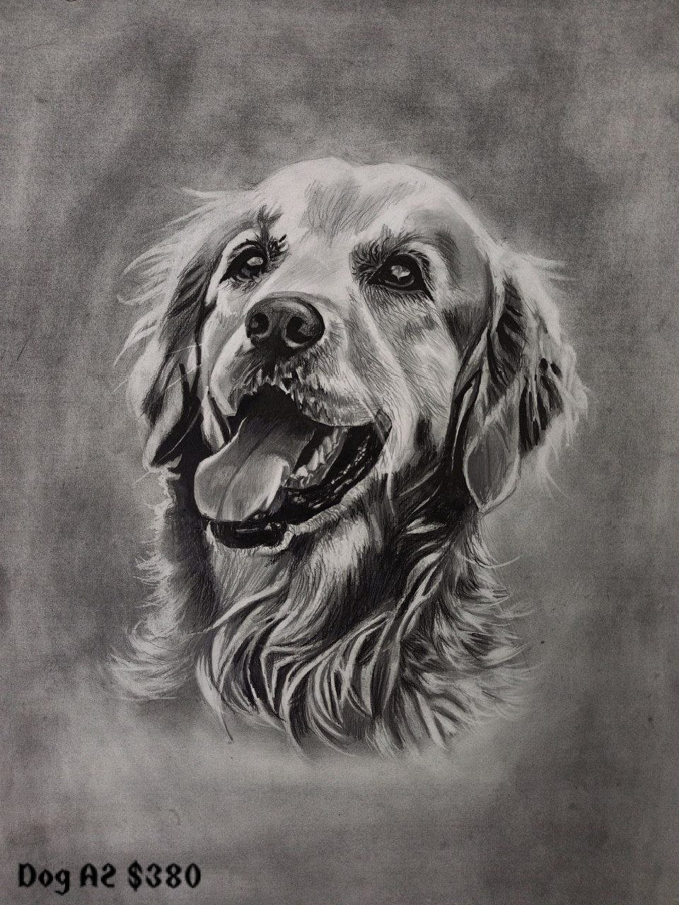 Collection of paintings of animals